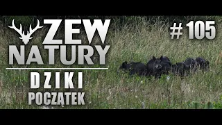 Dziki początek - Zew Natury #105