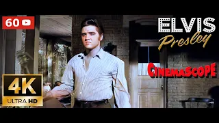 Elvis Presley AI 4K Colorized / Restored - Love Me Tender (1956)