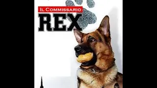 Gianluca Testa interpreta Mirko Bertolini nella serie tv IL COMMISSARIO REX (RAI UNO) - clip