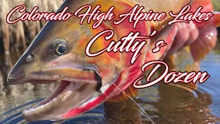 Fly Fishing Colorado For LARGE CUTTHROAT Trout - HIGH ALPINE LAKES