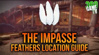 All 8 Feathers Location   The Impasse   Feathers Location Guide   Tutorial   Destiny 2