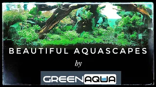 The Beautiful Aquascapes at Green Aqua, Hungary