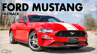 Ford Mustang Fastback: 2.3 EcoBoost 290 HP - SwyDRIVE [ENG_SUB]