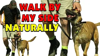 Teach Your Dog to Walk at Your Side | Naturally Without Treats or Punishment IT WORKS 2020
