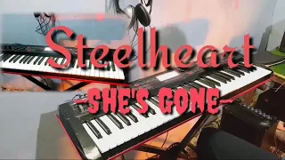 Steelheart - She's gone guitar solo cover synth test(ka duh thu a sam bik lo🥴)