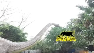 Realistic Animatronic Dinosaur Omeisaurus