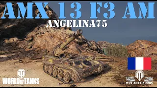 AMX 13 F3 AM - angelina75
