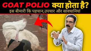 बकरी पालन| Goat polio क्या होता है इस बीमारी की पहचान उपचार और सावधानियां | bakri palan kaise kare