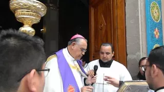 Año de la Misericordia, apertura Puerta Santa, Diócesis de Celaya