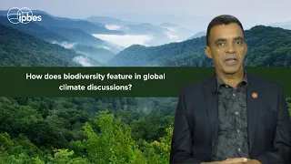 Interview with David Obura, IPBES Chair: How is biodiversity involved in global climate talks?