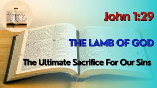 The Lamb Of God |  John 1:29  | Verse Of The Day | February 28, 2024