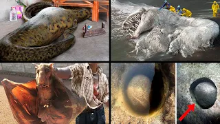 Most Scary & Bizarre Recent Discoveries! | ORIGINS EXPLAINED COMPILATION 16