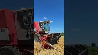 Youngtimer Massey Ferguson Harvester🎩👍