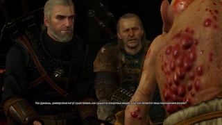 The Witcher 3 Универсалии