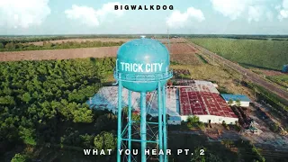 BigWalkDog - What You Hear Pt. 2 [Official Audio]