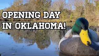 Opening Day of Duck Season on Public Land!