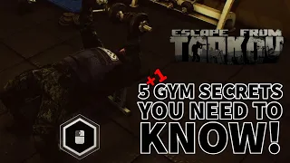 Tarkov Gym Complete Guide! - How to Build, What it does, & More!