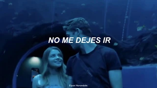 Never Say Never - The Fray (Letra en Español) (Hessa - After)