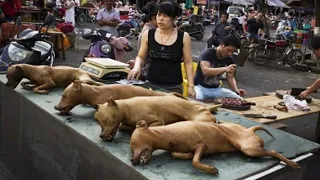 Nagwala ang Mundo sa Nakita nilang Kinakain ng mga Tao sa China!