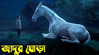 Upon the Magic Roads (2021) পুরো সিনেমা বাংলায় || Movie Explained in Bangla