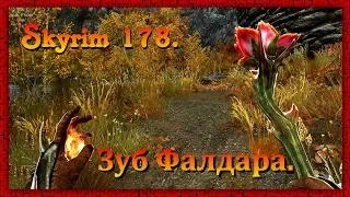 The Elder Scrolls V: Skyrim #178 ✿ Вилья ✿ ЗУБ ФАЛДАРА