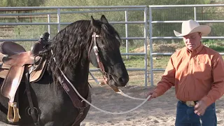 Motivating a Lazy Horse: Ken McNabb Horsemanship