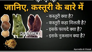 जानिए कस्तूरी के बारे में, इसके फायदे, नुकसान और मात्रा #kasturi #कस्तूरी #ayurvedaekvirasat