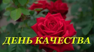 Поздравления со Всемирным Днем Качества!