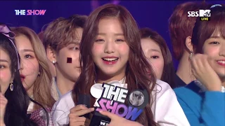 IZ*ONE, 1st WIN of THE SHOW [THE SHOW 181113]