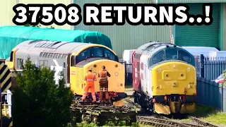 37508 Makes its MAINLINE Return! SADLY I MISSED it due to a DELAYED departure! with 37418 18/04/24