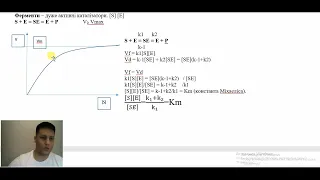 Біохімія. Особливості ферментативної кінетики. Виведення рівняння Міхаеліса-Ментена