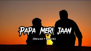 Papa Meri Jaan - Lofi Mix | Slowed + Reverb | Ranbir Kapoor |Animal | Chill Beats Central