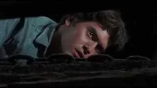 The Evil Dead (1981) - A Modern Trailer