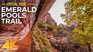 4K Virtual Tour of the Emerald Pools Trail - Beautiful Nature & Wildlife of Zion National Park