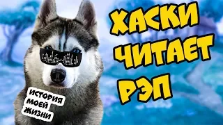 🎤 ХАСКИ ЧИТАЕТ РЭП! История моей Бандитской жизни. Говорящая собака