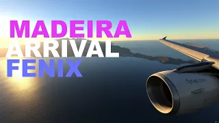 Madeira Approach MSFS / Fenix / 4K HDR