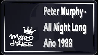 Peter Murphy - All Night Long - 1988 (Con Subtítulos en inglés y español)