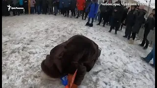 Протесты 23 января. Прямой эфир из Чебоксар. Продолжение