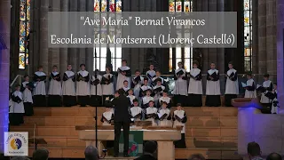 "Ave Maria" Bernat Vivancos | Escolania de Montserrat (Llorenç Castelló)