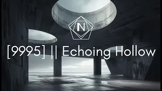 [9995] - Echoing Hollow || 1 Hour Relaxation Soundscape