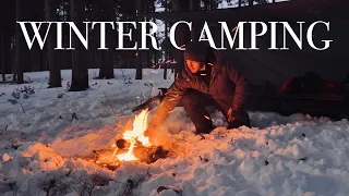 Tarp Camping in Winter Snow Solo With My Dog | Extreme Cold Wild Survival