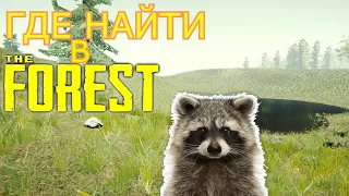 ГДЕ НАЙТИ В THE FOREST | ЕНОТ