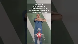 Полезное упражнение для тех, кто много сидит! Делать каждый час по 2 мин, если у вас сидячая работа