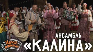 Угаровские припевки | Ансамбль «Калина» (Самарская область) | Играй, гармонь!