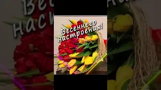 💐 Доброе Весеннее утро ☕ С Хорошим Новым Днём 💗🪻