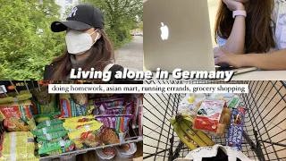 Living Alone in Germany | homework, asian mart, running errands, grocery shopping | Indonesia