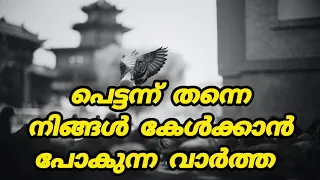 നിങ്ങൾ പെട്ടന്ന് തന്നെ അറിഞ്ഞിരിക്കേണ്ട ചില കാര്യങ്ങൾ #viralvideo #trending