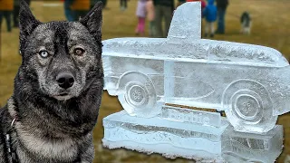 Taking My Dogs to Ice Fest! With NO Snow?