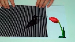 Анимированные Оптические Иллюзии Amazing Animated Optical Illusions