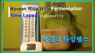Korean Rice Wine (makgeolli) Fermentation Time Lapse. 막걸리 발효 타임랩스